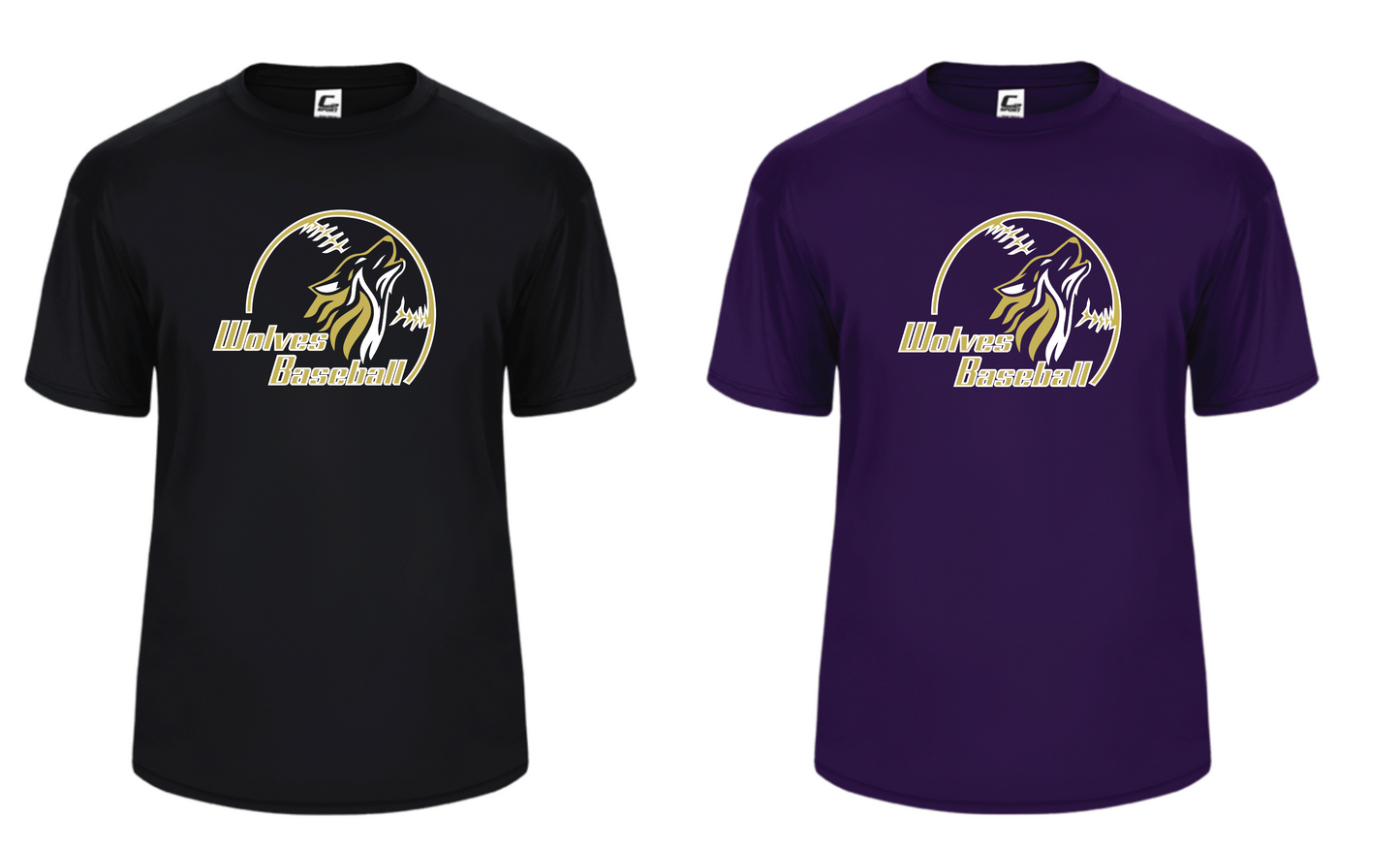 Practice Shirts - Purple and Black (2 Shirts)