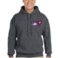 All Star Adult Hoodie