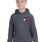 All Star Youth Hoodie