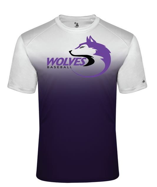 Men's Ombre Drifit
